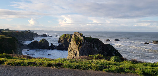 Tide Pooling this Week