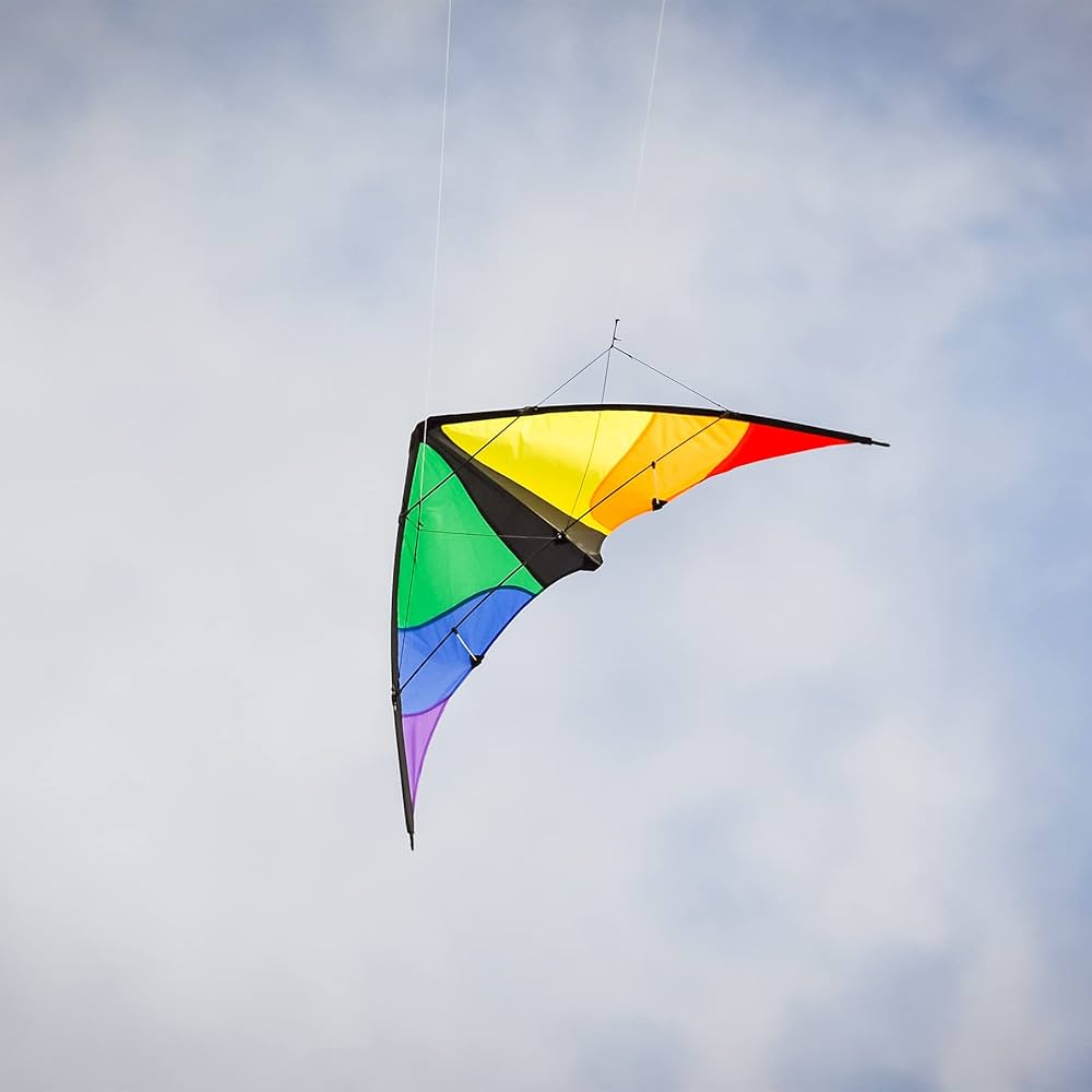 ACTION KITES