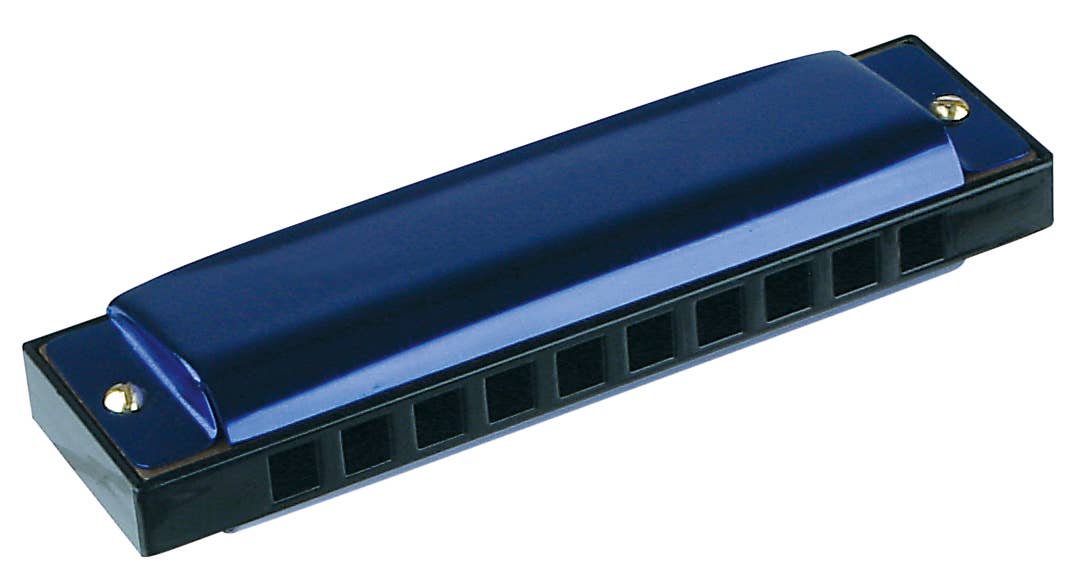 Metal Harmonica with Hinged Case